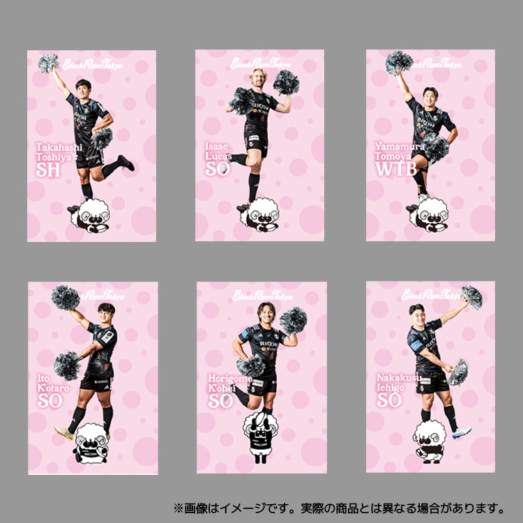 ちあちあ選手ポストカードコンプリートセット